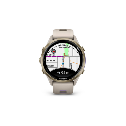 Garmin Forerunner 970 - Titanio Dorado Gris Francés